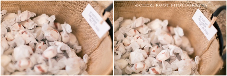 North Texas Dallas Lifestyle Family Photographer | Cheri Root Photography_0152